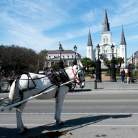 2015 February New Orleans